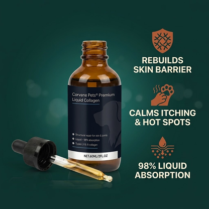 Corvane Pets® Barrier Repair Liquid Collagen
