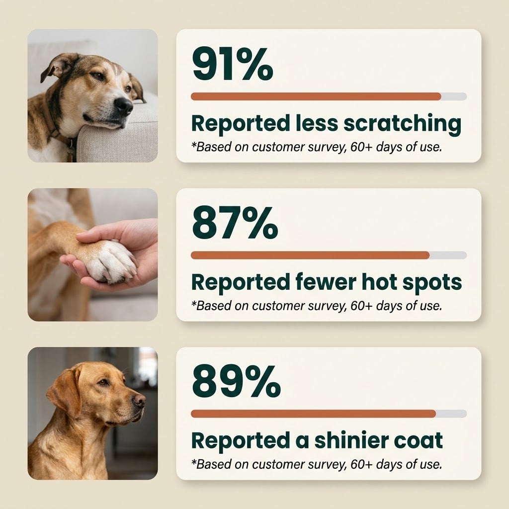 Corvane Pets® Barrier Repair Liquid Collagen